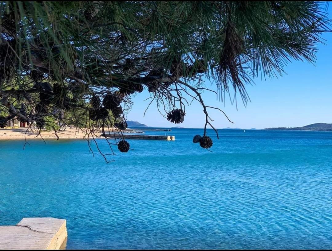 Top View Biograd Biograd Na Moru Esterno foto